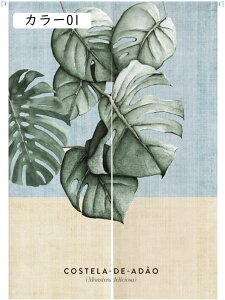 ̂ g m  CeA J[e k _ J[ Ռ̂ Ȗ Vv Ԏd؂J[e  Lb` rO hAJ[e ʏ Q p 65x120B