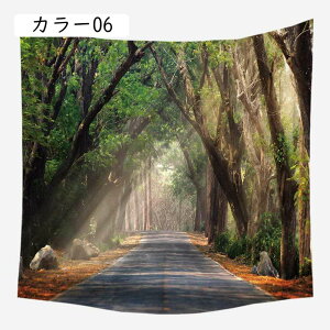 Ri^yXg[ 唻 RƊC CeA X @\ }`Jo[ ې Ԏd؂̂ ډB ݂z ȒPBep z J[e J[ e[uNX J[e ͗lւ 95*7