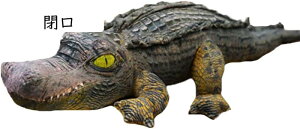 ʂ j  傫 D ӂӂ   A YQ 􂦂 j v[g  ǂ