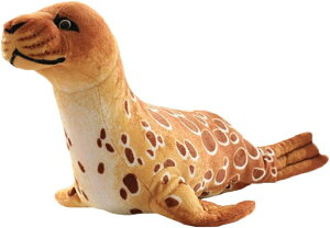 ʂ AUV  傫 D ӂӂ   A YQ 􂦂 j v[g  j[^Cv