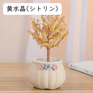   Ȃ ACe CeA  VR  u ^F J^ ɐF W߂  CeA p[Xg[  VN v[g 蕨 Ob