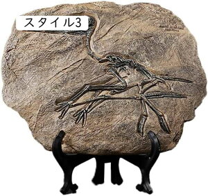 ̉ bNX k u  A 킢  u  IuWF v[g CeAu ̑  X^C1 IuWF 20.5*10.5*34 cm z