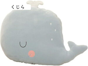 Jj ʂ K`E NW  _炩   i   ʂ K`E NW l` ʂ K`E NW K`E 킢 ETM u jp