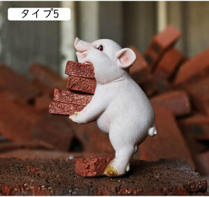  A I[ig IuWF Ԃ ^Cv F u CeA G  Aj} CeAG 킢 낢 v[g Mtg j ̒u }XRbg ̒u Y