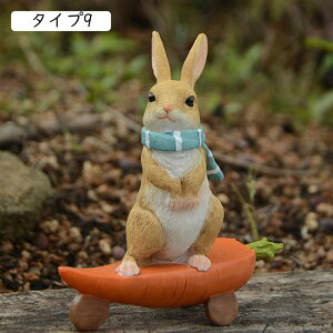 IuWF N }XRbg e̒u ̒u ETM e I[ig F K[f IuWF u K[fjO ^Cv  CeA A 炵 t̂킢 I[i