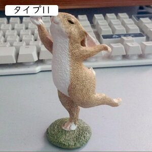 IuWF N }XRbg e̒u ̒u ETM e I[ig F K[f IuWF u K[fjO ^Cv  CeA A 炵 t̂킢 I[i