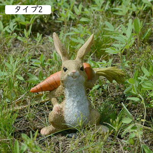 IuWF N }XRbg e̒u ̒u ETM e I[ig F K[f IuWF u K[fjO ^Cv  CeA A 炵 t̂킢 I[i