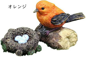 }CNi u CeA Wp K[fI[ig |W 蕨        G IuWF K[fI[ig A  uK[fIu