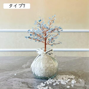  NX^[ VR  u ^F J^ ObY W߂ N   ɐF  ^Cv5 Vg AWXg [YNH[c bhAQ[g 