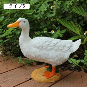 K[fI[ig u Aq̒ 킢 {  v[g  O fR[V K[fG I  Ђ u K[fjOG ^Cv CeA F 