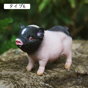 IuWF  F ʔ IuWF L[g I[ig Ԓd q v[g u^ i  sM[ Ԃ  [g[̑ f CeA }CNi u 