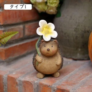 K[f I[ig ւɂu F [Ăɂ񂮒u IuWF nlY~  k G 뒤̑ }CNi ^Cv 炵 i ~jTCY YȒu 