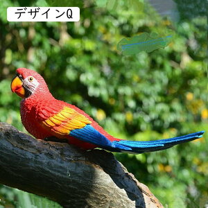 CeAG CR̒u IE  ̒u K[fI[ig  A 蕨  G  뉀 K[fjOG 蕨  CeA Jt u   f