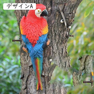 CeAG CR̒u IE  ̒u K[fI[ig  A 蕨  G  뉀 K[fjOG 蕨  CeA Jt u   f