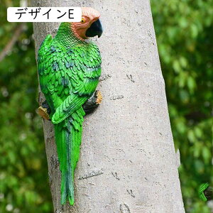 CeAG CR̒u IE  ̒u K[fI[ig  A 蕨  G  뉀 K[fjOG 蕨  CeA Jt u   f