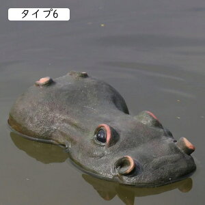 K[fjOu j ͔n r K[f AEghA  u K[fI[ig v[g ̒u ^Cv6   CeAG K[fjOG F 남̃IuWF