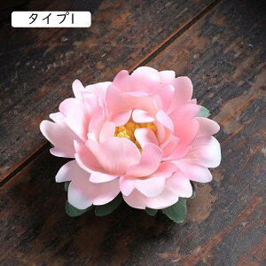 F M ~j  Z~bN  @ F @ @̉ @ E  M F  nhCh  u YȒu  J^ pi p  蕨 
