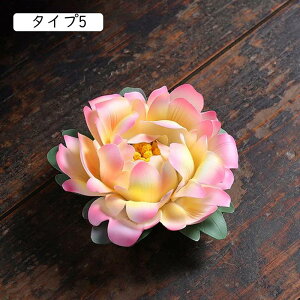 F M ~j  Z~bN  @ F @ @̉ @ E  M F  nhCh  u YȒu  J^ pi p  蕨 