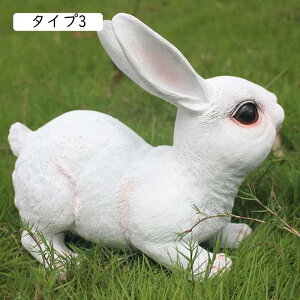 IuWF ̑  ^Cv6 A Wp ^ K[fjOu Ƃ̑ \  G \G 낪ɂ₩ Jg[ K[fjOObY ̒u K[fu 