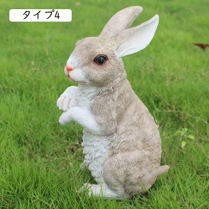 IuWF ̑  ^Cv6 A Wp ^ K[fjOu Ƃ̑ \  G \G 낪ɂ₩ Jg[ K[fjOObY ̒u K[fu 