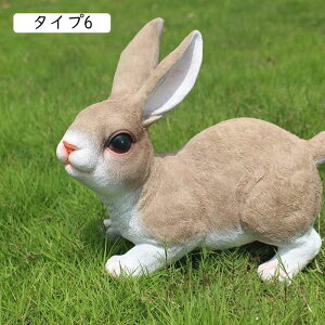 IuWF ̑  ^Cv6 A Wp ^ K[fjOu Ƃ̑ \  G \G 낪ɂ₩ Jg[ K[fjOObY ̒u K[fu 