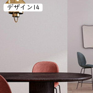 [bp ǎ ͂ JbeBOV[g [h[u CN Lb` rO[ 䏊p 60cm*5m iX ǎV[ ̂t F   AeB[N fU