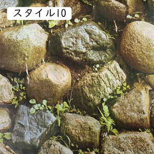 ǎ V[ 45cm*10m CNV[g k  ׂ n ͂ u[ O[ X^C ̂t NX  \Ă͂ǎ  V[ ؖ u[ ^ A