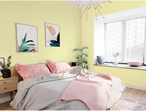 ǎ V[ Ȃ  k fUC12 V  ̂t ǎ  h CNV[g  ǎV[g Cݕ n tH[ V[  60cm*1m ʏ