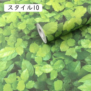 ǎ ǎV[ ͂ǎ X^C CNV[g 1m×61cmtH[V[g ǎ ؖڃV[Y EH[XebJ[ JbeBOV[ ӂ܎ Lb` ǎNX ؖڒ