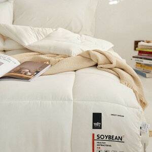 |zc VO zc 􂦂 ӂƂ I[V[Y |ӂƂ _炩ȔG |zc ~ ӂƂ y ʋC RۖhL ΍ 150*200cm  3kg ėp 􂢂炵