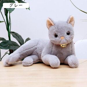 A L ʂ lRNbV ˂ lRObY  킢 AJV[gwA L 29cm L tt A  L ߋ zCg a v[