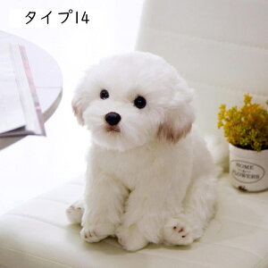 gCv[h   A ^Cv efBxA ̂ʂ 킢 ObY YQ l` XC[gps[ gCv[h  ӂӂ ʂ X q̂