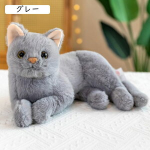 ʂ L ˂ CG[ lR ʂ A {  ybg L̂ʂ L ʂ A 킢 ˂ lR LG L̒u OєL 30cm ̓ Mtg 