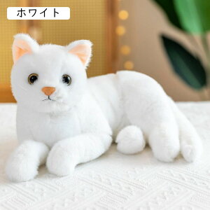 ʂ L ˂ CG[ lR ʂ A {  ybg L̂ʂ L ʂ A 킢 ˂ lR LG L̒u OєL 30cm ̓ Mtg 