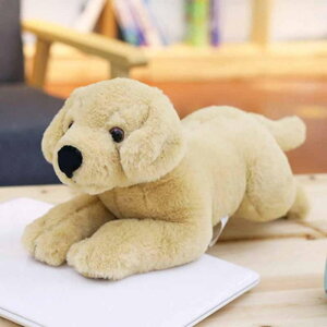ʂ uh[  A xbh[ 炩 NbV ᔽ Q 40cm  LN^[ 傫 a v[g  YQ D