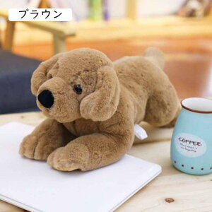 ʂ uh[  A xbh[ 炩 NbV ᔽ Q 40cm  LN^[ 傫 a v[g  YQ D