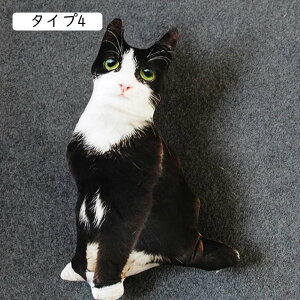 L ˂ ʂ L OєL Tog L g 50cm v[g ^Cv Mtg ޏ ɂ 킢 蕨  ΂ a ̎q LD j̎q wj