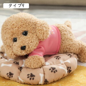  gCv[h ʂ A 傫   l`  ʂ X[p[ʂ A NbV _炩 YQ  C @\ ^Cv w