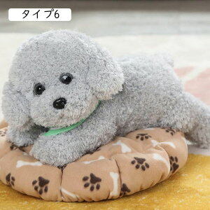  gCv[h ʂ A 傫   l`  ʂ X[p[ʂ A NbV _炩 YQ  C @\ ^Cv w