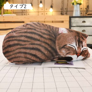 ʂ ܂ ˂D  ^Cv  YQ 70cm L  _炩 Q @\ n fXN Q܂ v[g 킢 ӂӂ lR L