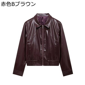 fB[X PU U[R[g oCNWPbg vu] W Wp[ ܂ n |Pbgt WPbg AE^[ gbvX t H ~ h ۉ JWA K i