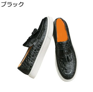 ^bZ [t@[ Y hCrOV[Y tbgV[Y G{X gAbv I[}CeB ʋC Ղ ϋv  NVbN c ʋ a JWA wC