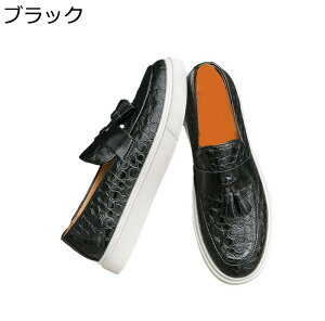 ^bZ hCrOV[Y [t@[ Y JWAV[Y G{X r S\[ v r h hL Be[W x[VbN Ղ wC ʋ  EH[LO