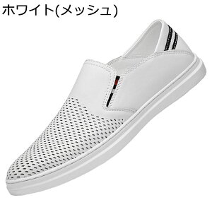 [t@[ Y hCrOV[Y Xb| S\[ v \tg XbvI RtH[g ~  NVbN Vv c ʋΗp a JWA wC