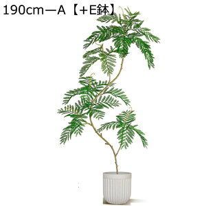 KW} tFCNO[ 145cm 160cm ^ A lHϗtA CeAO[ ^Ηt ϗtA ϗt tFCNc[ { ͂Ȃ sv lHt rO x