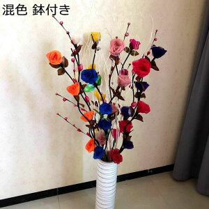 ԃo  [Yԑ 5{Zbg KN ԑ o^Cf[ ͂Ȃ }`bN ԃu[P ԏ A[gt[ ʐ^ ̓  a j v[g Q 