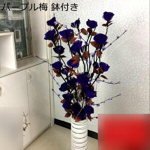 ԃo  [Yԑ 5{Zbg KN ԑ o^Cf[ ͂Ȃ }`bN ԃu[P ԏ A[gt[ ʐ^ ̓  a j v[g Q 