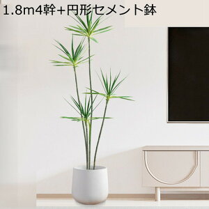 lHϗtA ^ eL[ 180cm tFCNO[ 1{ hZi  ȒP sv Q̐SzȂ 3̊ lH tFCNA v~A CeA  O j 