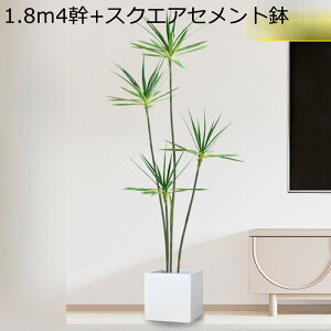 lHϗtA ^ eL[ 180cm tFCNO[ 1{ hZi  ȒP sv Q̐SzȂ 3̊ lH tFCNA v~A CeA  O j 