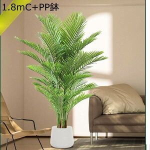 ϗtA L tFCNO[ ^ lH CeAO[ u A tFCNA ȒPb炸 bȂ sṽz[ ͐A Vzj ̓ ̓ Mtg Ƃ̒